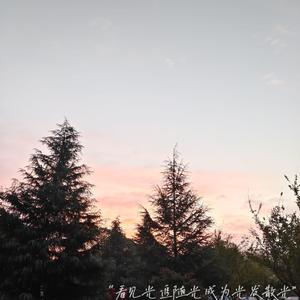 法国伦理成熟老妇女做爰
