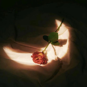 法国伦理成熟老妇女做爰
