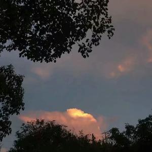 法国伦理成熟老妇女做爰
