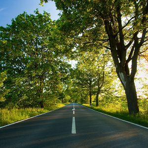 法国伦理成熟老妇女做爰
