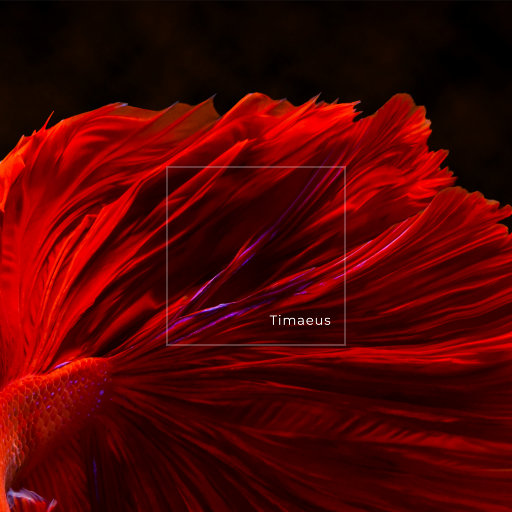 法国伦理成熟老妇女做爰
